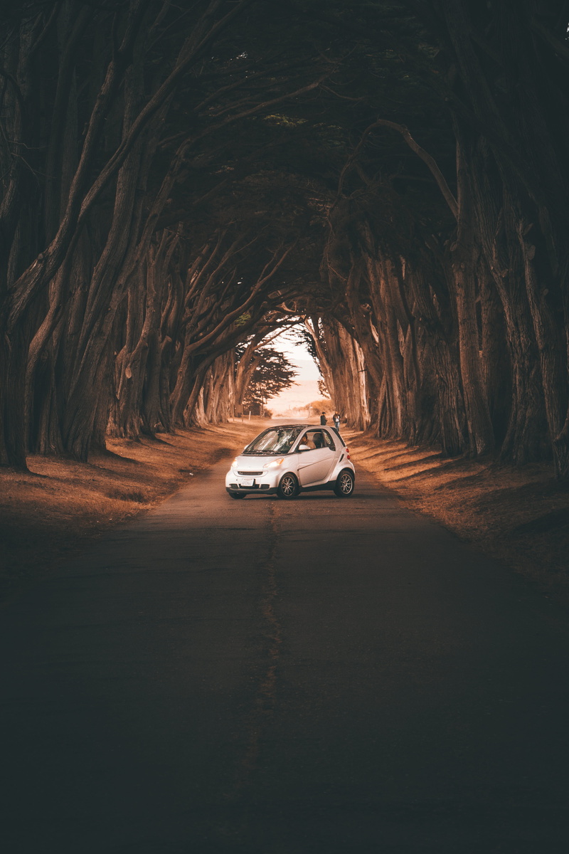 outdoors, mode of Transport, speed, travel, 4x4, drive, traffic, forest, off-Road Vehicle, land Vehicle, dirt Road, 5K, nature, modern, sports Car, sports Utility Vehicle