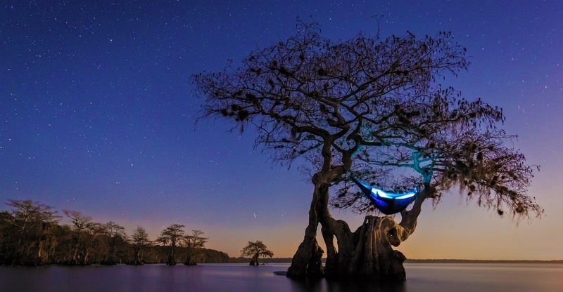 Cypress, Starry Night, Florida, Trees, nature, 1080P, Hammocks, lake, landscape