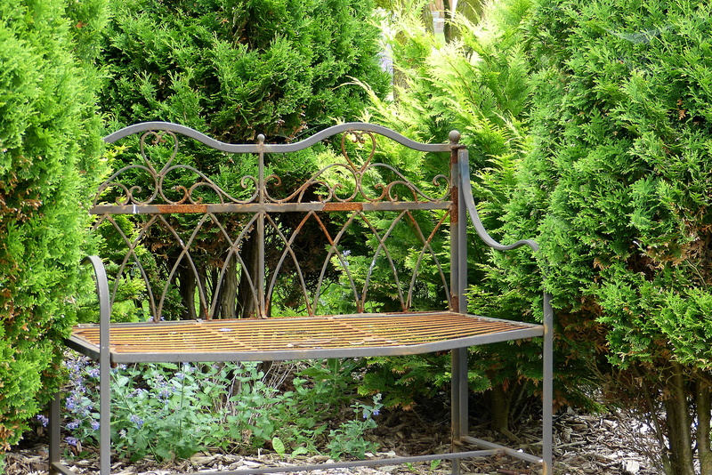 forest, empty, 4K, footpath, green, seat, park - Man Made Space, Idyllic, bench, Bank, day, mourning, formal Garden, growth, periwinkle, garden bench