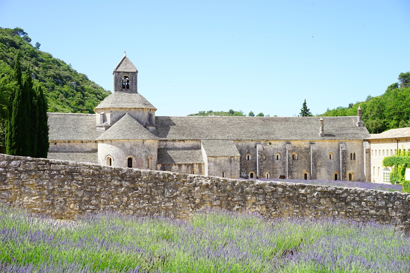 fragrance, french, lavendula, Abbey, Abbaye De Sénanque, wild plant, nature, sky, scented plant, garden, true lavender, narrow leaf lavender, crop, lavender cultivation