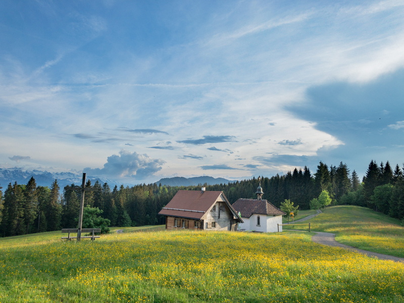 trees, blue, grassland, non-urban scene, nature, cottage, white, countryside, tree, tranquility, built structure, building exterior, farm, summer, land