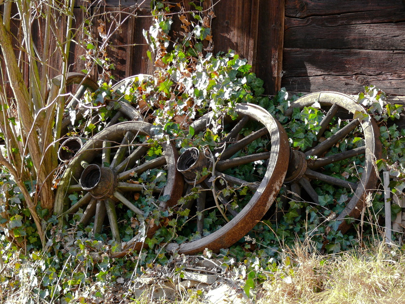 wagon wheel, brown, plant, architecture, three, rusty, weathered, old, 2K, nature, leaves, day, metal, wheels, damaged, carousel, covered, transportation
