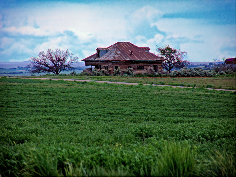 farmhouse, outdoors, farm, plant, no people, surrounded, brown, environment, rural scene, architecture, wooden, day, rural, 1080P, land, built structure