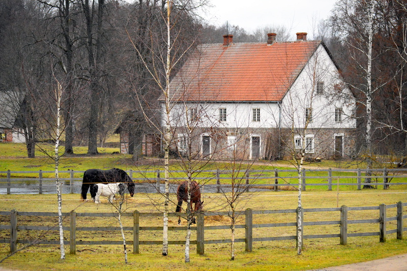 architecture, 2K, farming, built structure, vertebrate, grazing, barrier, agricultural, mammal, fence, tree, pets, plant, graze, rural area, rural, wooden