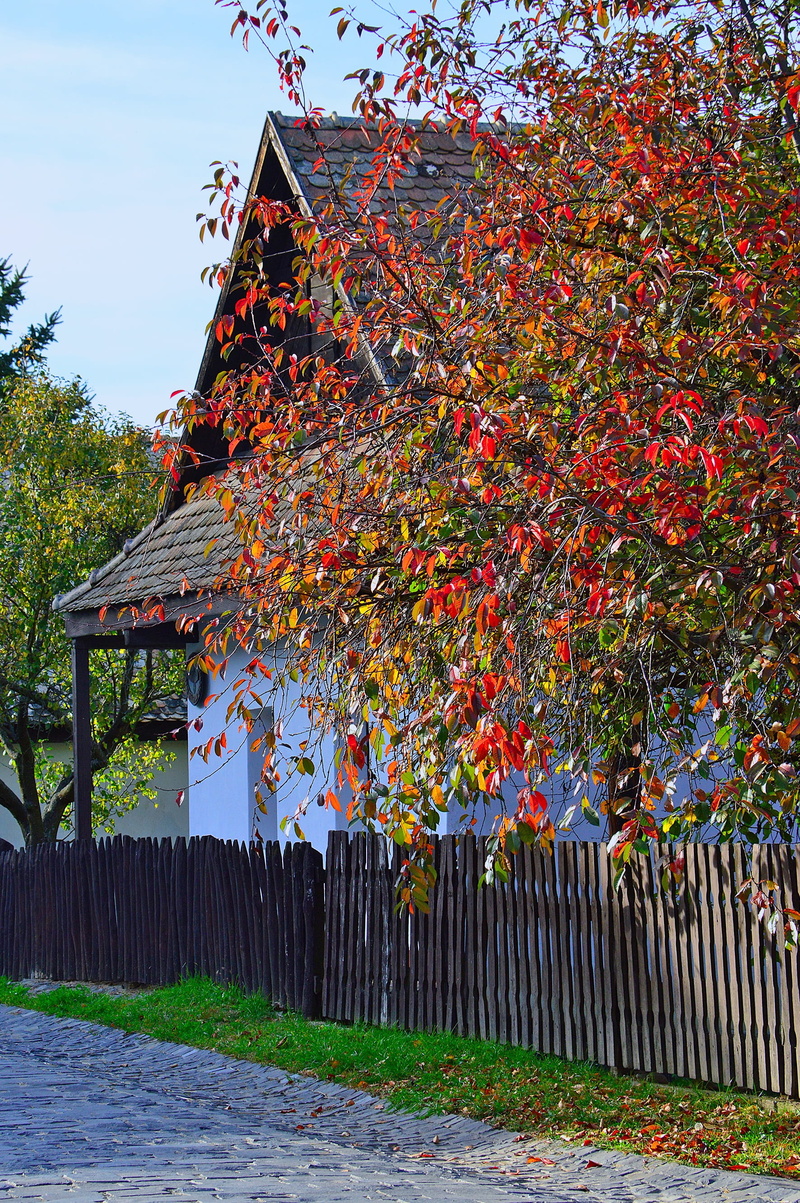 2K, outdoors, sky, building, hungarian, day, no people, nature, change, autumn, growth, tree, village, mood, barrier, architecture, plant, building exterior