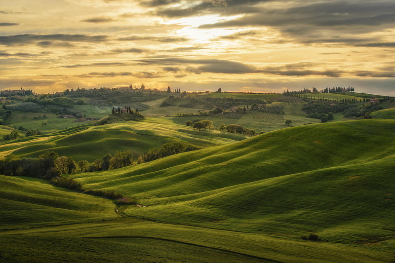 Val dOrcia, estate, field, hills, Tuscany, Italy, green, 1080P, grass