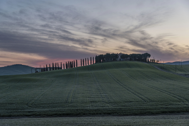 trees, nature, tranquil scene, hill, grass, italian Cypress, agriculture, outdoors, farm, rural Scene, landscaped, land, meadow, travel, green, field, no people