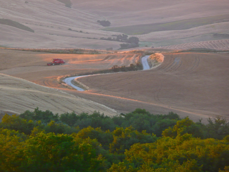 tranquil scene, non-urban scene, plant, tranquility, outdoors, field, 2K, scenics - nature, road, high angle view, tree, rolling landscape, land, italy