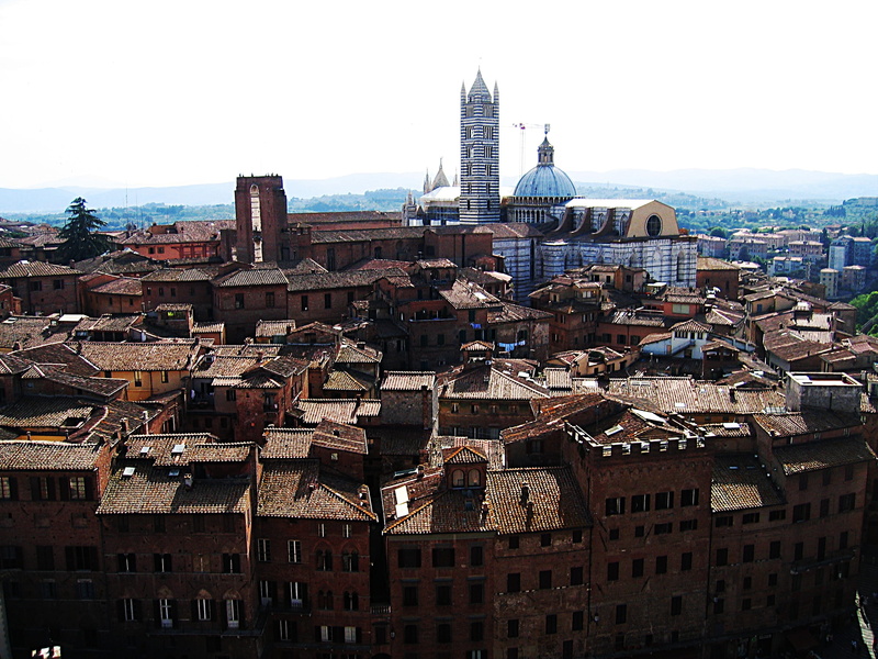 nature, crowded, building exterior, office building exterior, Italy, building, day, outdoors, Siena, townscape, travel destinations, sky, Tuscany, skyscraper