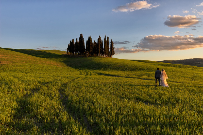 ray, backlight, tranquility, silhouettes, cereal plant, good morning, sunny, scenics - nature, siena, green color, italy, cloud, beauty in nature, atmosphere