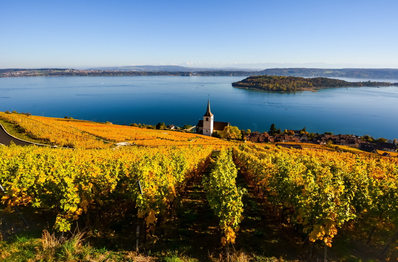 built structure, architecture, 5K, vineyard, land, field, winemaking, tranquil scene, lake, idyllic, plant, landscape, vines, growth, water, no people