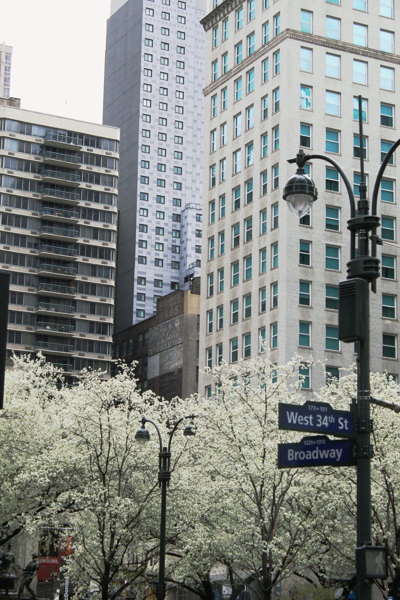 town, nature, low angle view, apartment, high rise, skyscraper, built structure, sign, downtown, broadway, office building exterior, office, tower, window