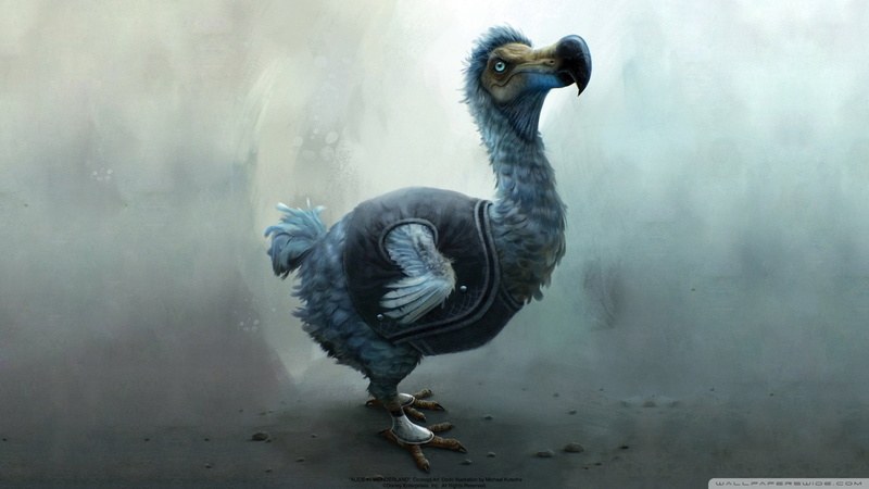 1080P, Alice in Wonderland (2010), Movie, Bird, Disney, Dodo, Artistic
