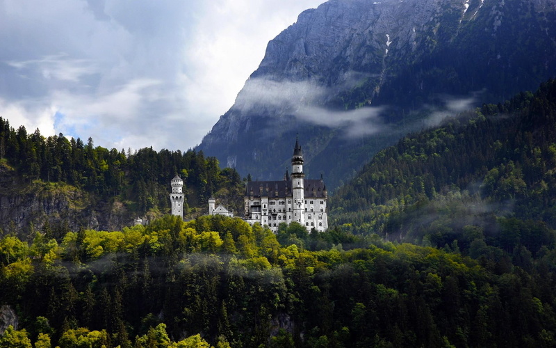 germany, animals, forest, castle, neuschwanstein, mountain, 1080P