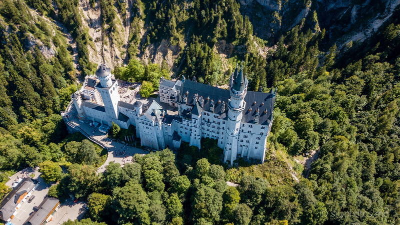 plant, building, beauty in nature, nature, drone, castle, high angle view, the past, day, built structure, neuschwanstein, green color, growth, scenics - nature