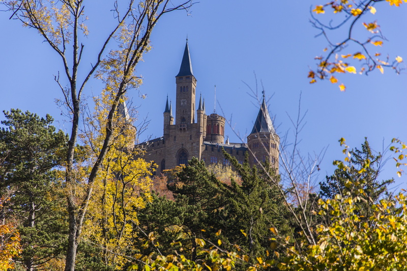 branch, good view, built structure, ancestral castle, 5K, autumn, hohenzollern, german imperial house, no people, plant, castle, outdoors, germany, low angle view