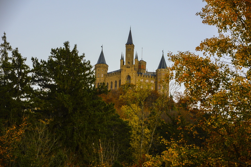 government, hohenzollern castle, baden württemberg, tree, autumn, spire, architecture, zollernalb, low angle view, outdoors, hechingen, wall, 5K, sky