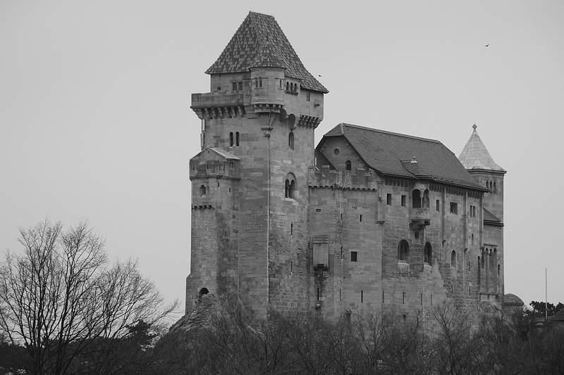 no people, mödling, day, building, clear sky, bare tree, middle ages, built structure, plant, tree, sky, old, travel destinations, tower, outdoors, 5K