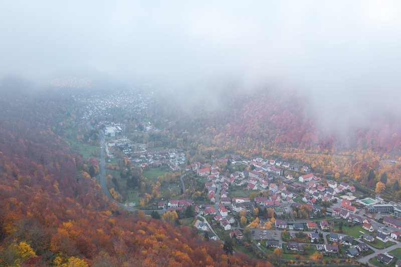outdoors, forest, lichtenstein, change, beauty in nature, smog, nature, 5K, scenics - nature, tree, fog, building, residential district, trees, building exterior