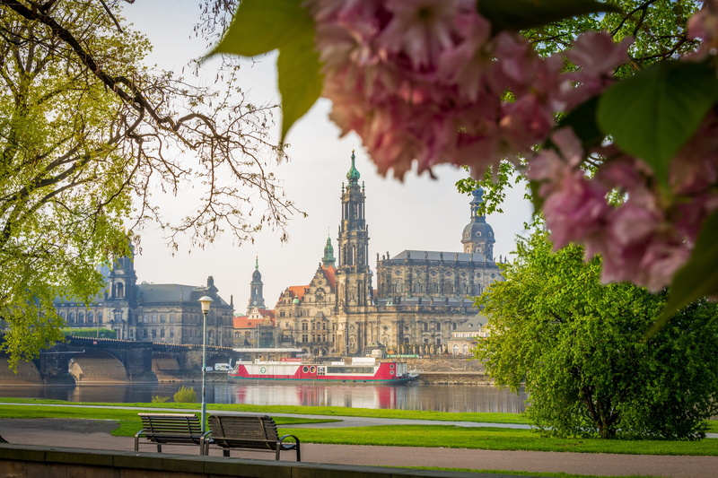 tourism, saxon, day, flower, outdoors, water, building exterior, saxony, elbe, bridge, nature, elbufer, steeple, hofkirche, plant, elbe meadow, growth