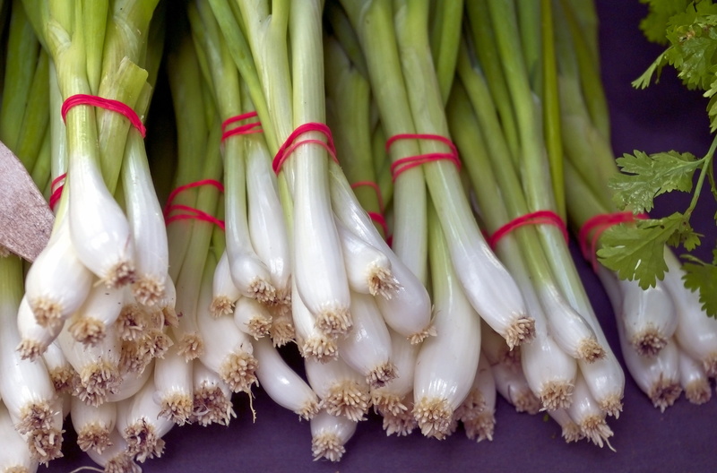 freshness, wisconsin, white, harvest, agricultural, market, salad, 2K, dane county farmers market, abundance, green, spring onion, no people, food, fresh green onion bunches