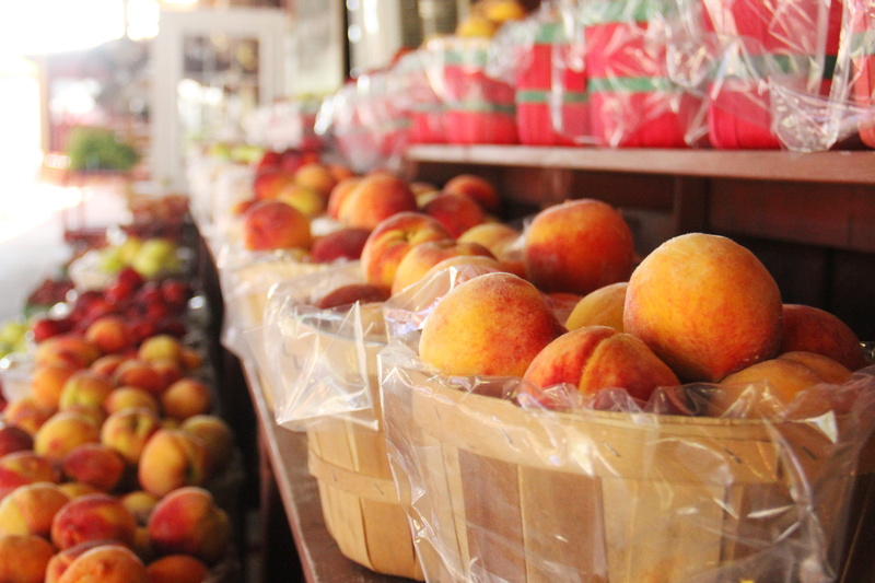 fruit, peck, saunders brothers farm market, farm, choice, orange - fruit, baskets, plastic bag, 5K, summer, barrel, green, large group of objects, healthy eating