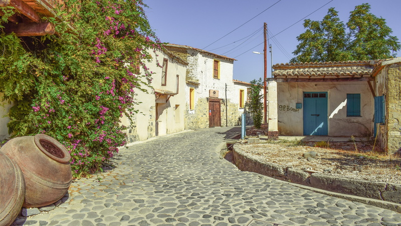 flower, building exterior, outdoors, architecture, ceramic, vine, pavement, direction, tree, beside, the way forward, building, city, village, no people