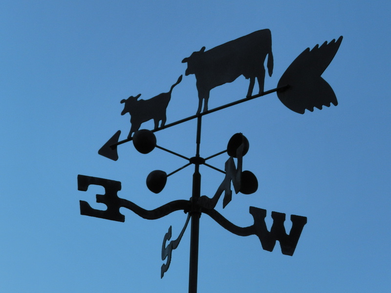 blue, communication, signal, sky, clear sky, outdoors, cow, 4K, metal, blowing, weathervane, day, no people, sign, nature, arrow symbol, wind, guidance
