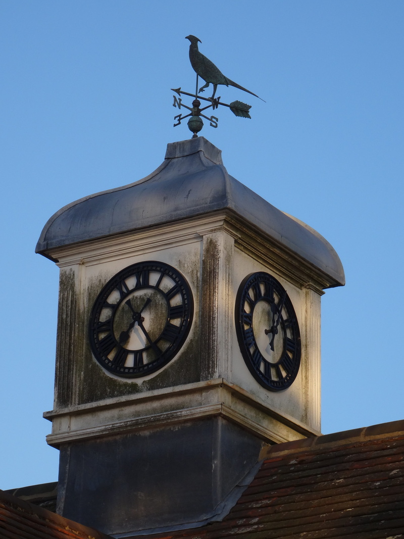 Windvane, meteorologist, instrument of time, direction, measuring, sky, Clock, east, ornate, Aged, Wind, weather vane, animal, vertebrate, weather, vane