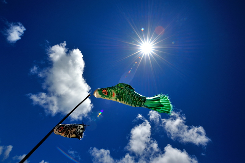 clouds, the wind, weathervane, fish, the sky, 2K