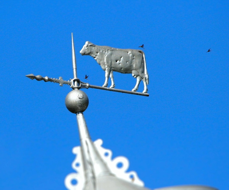 sculpture, blue, statue, nature, Wasp, aluminum, travel destinations, no people, 720P, Weathervane, clear sky, history, architecture, animal, art and craft