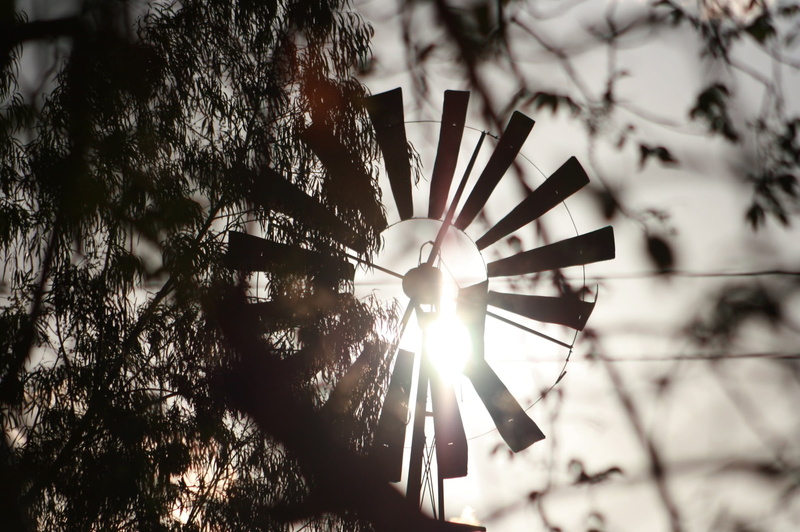 traditional windmill, water wheel, alternative energy, turbine, low angle view, sky, sol, wind turbine, sertao, nature, brazil, no people, plant, weathervane