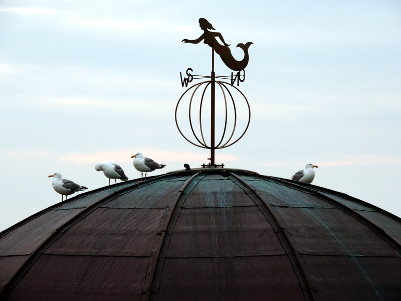 more virgin, the spas rehabilitation clinic, air, birds, points of the compass, wind, group of animals, animal, building exterior, abendstimmung, roof