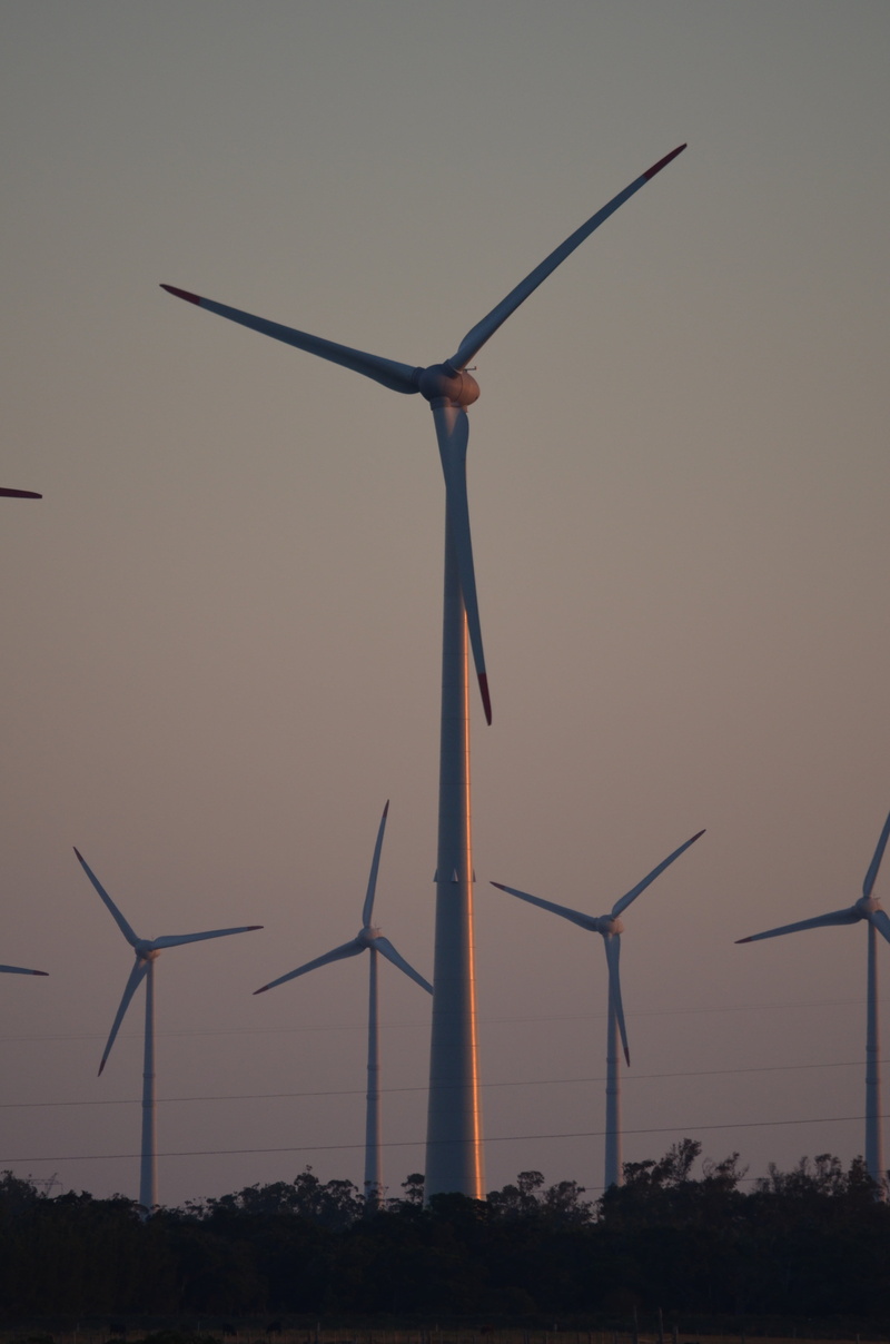 wind farm, wind, turbine, alternative energy, sunset, field, environmental conservation, fuel and power generation, blade, wind turbine, nature, environment