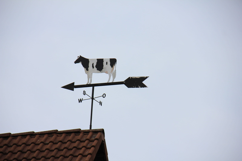 roof, built structure, guidance, clear sky, group of animals, Weathervane, architecture, animal wildlife, nature, sky, Animal, low angle view, no people