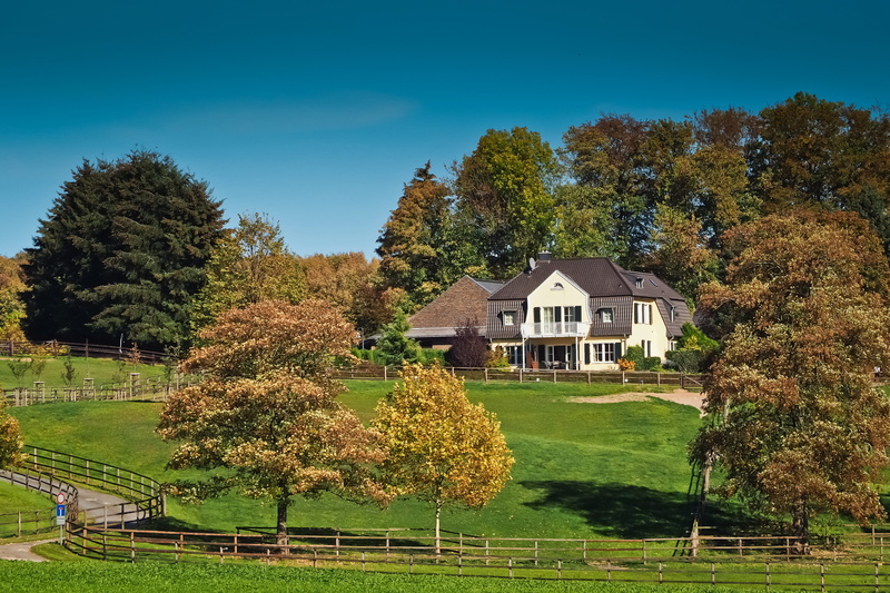 autumn, hill, no people, tree, grass, idyllic, mood, nature, green color, house, change, meadow, day, built structure, architecture, sky, village, green
