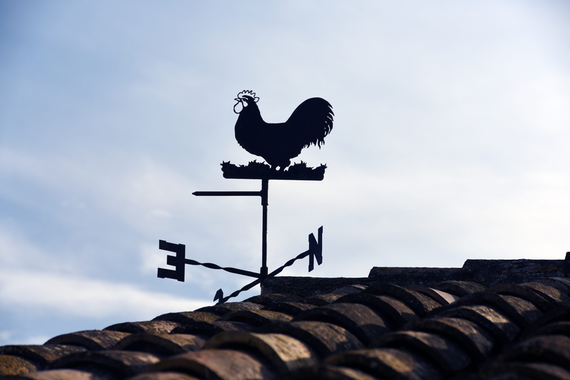 silhouette, is, photo, domestic animals, sign, low angle view, daytime, sky, weather vane, chicken - bird, animal, roof, animal wildlife, north, guidance