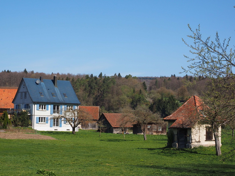 green color, village, roof, roofing, country life, sky, building exterior, home, architecture, environment, outdoors, grass, blue, built structure, land