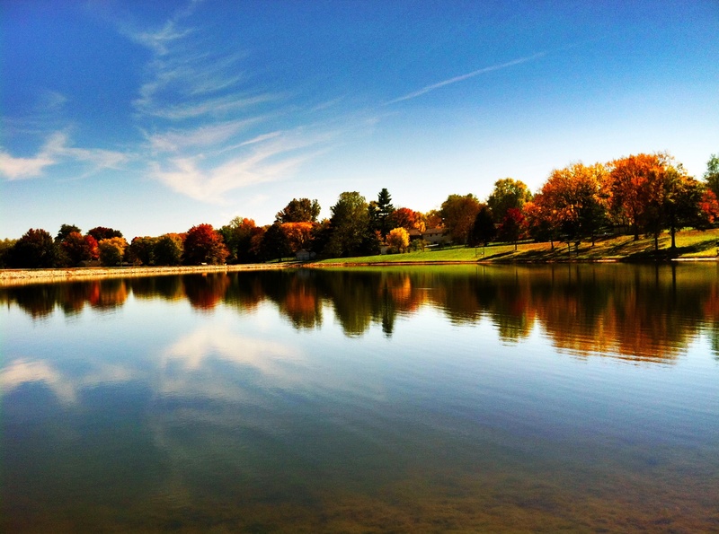clouds, idyllic, forest, nature, tranquility, beauty, reflection, no people, near, 2K, tranquil scene, sky, scenics, the sky, plant, sunlight, sunset