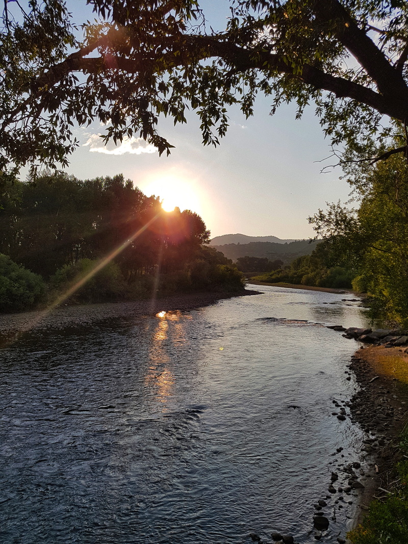 south fork, reflection, sunbeam, tree, lens flare, sunlight, plant, tranquil scene, beauty in nature, united states, scenics - nature, tranquility, water