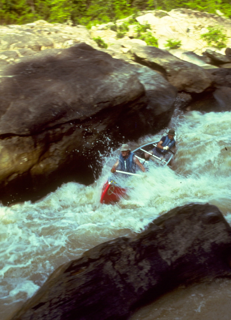river, Big South Fork, marine, public domain, big, animal, rock - Object, nature, stone - Object, water, undersea, motion, animals in the wild, Tennessee