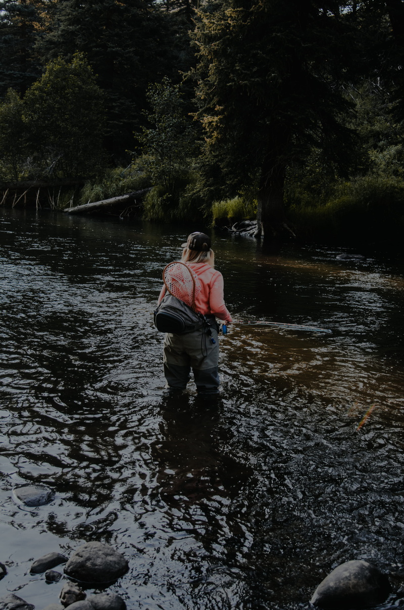south fork, trees, real people, standing, river, lifestyles, fishing, rear view, nature, day, forest, tranquility, wade, water, fly fishing, united states