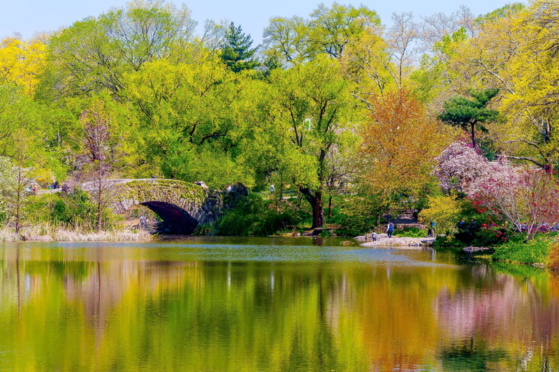 nyc, autumn, beauty in nature, lake, non-urban scene, reflection, gapstow bridge, park, 4K, spring, nature, day, tranquility, water, pond, scenics - nature