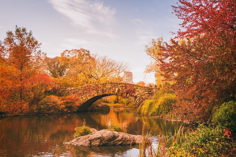 new, gapstow, york, city, bridge, 1080P, parks, bridges, usa, pond, nature