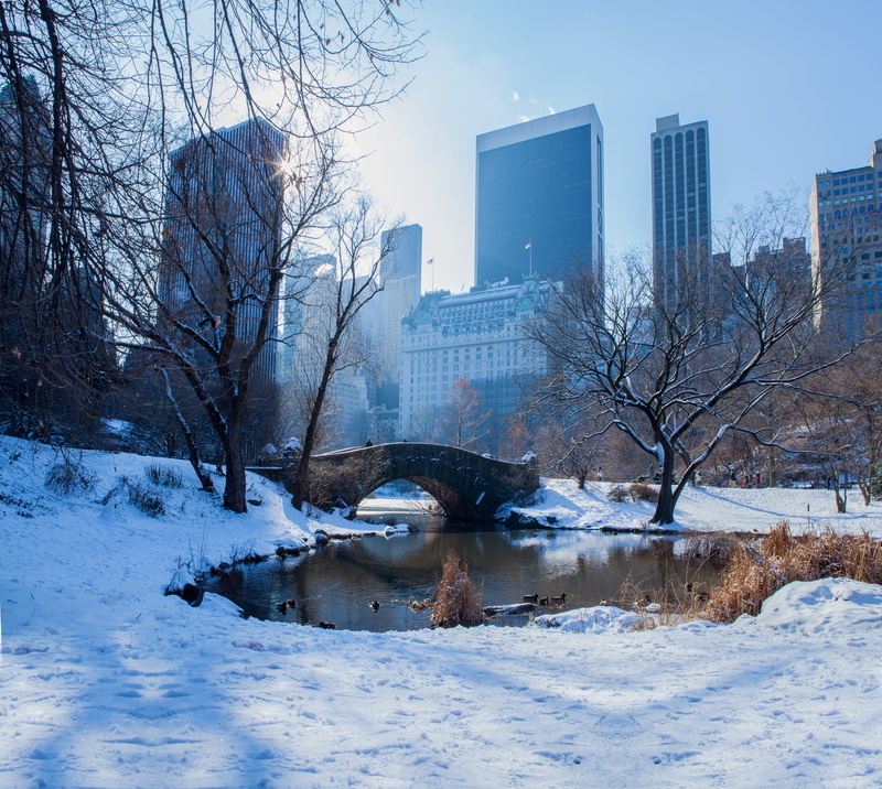 white, nature, city, architecture, outdoors, bare tree, bridge, building exterior, day, united states, snow, tree, plant, gapstow, frozen, water, sky, winter