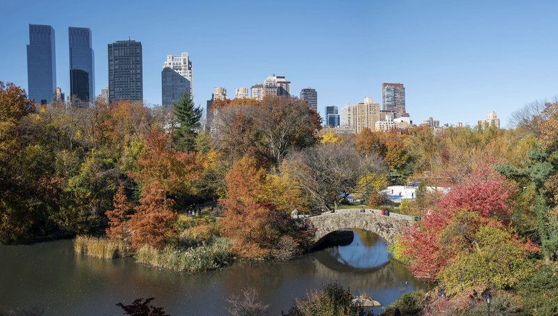 skyscraper, office building exterior, gapstow bridge, architecture, usa, cityscape, reflection, water, tree, manhattan, nature, plant, united states, building