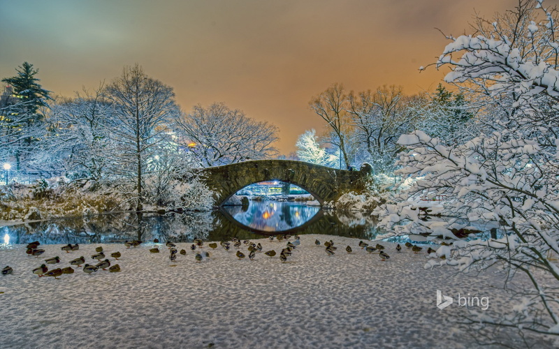 tranquil scene, tranquility, no people, building exterior, art and craft, day, york, nature, bridge, plant, water, bing, outdoors, architecture