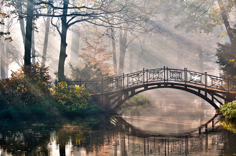 connection, footbridge, arch bridge, green Color, japan, architecture, 4K, autumn, trees, leaf, tree, romance, tranquil Scene, season, bow Bridge, nature