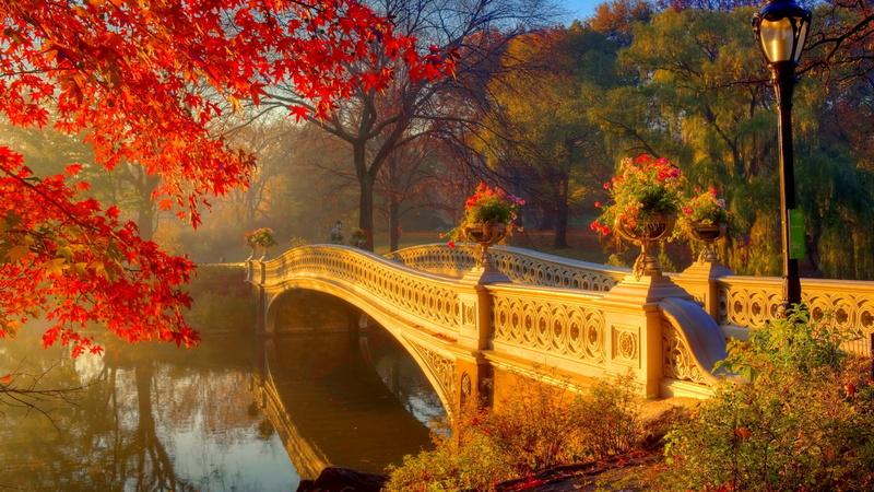 Central Park, Bridges, 1080P, Bridge, Fall, Bow Bridge