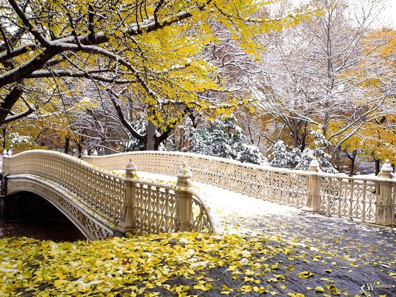 winter, beauty In Nature, urban Scene, landscape, footbridge, leaf, branch, autumn, manhattan - New York City, change, park, autumn collection, nature